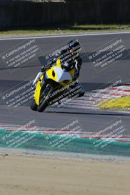 media/Mar-17-2024-Fastrack Riders (Sun) [[c7d6f8c14c]]/Level 2/Turn 6/